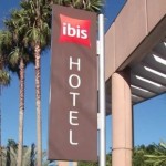 ibis arapiraca