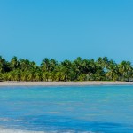 Hibiscus- Praia de Ipioca