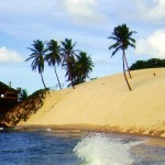 Praia de Jenipabu