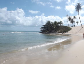 Praia de Jenipabu, no litoral norte